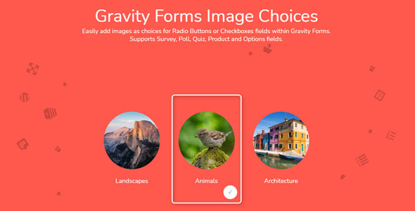 Gravity Forms Image Choices 1.3.55