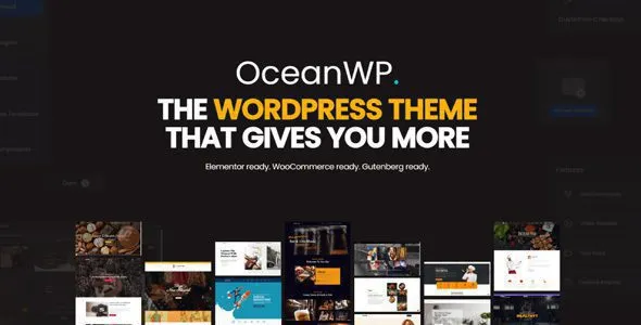 OceanWP 4.0.2 + Premium Extensions