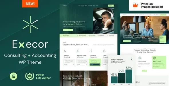 Execor 21 – Accounting and Management Consulting WordPress Theme